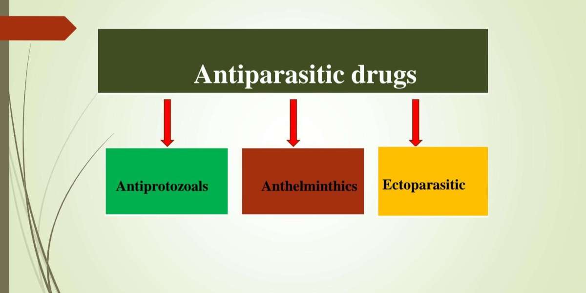 Antiparasitic Drugs Market to Witness Revolutionary Growth by 2030
