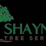 shaynestreeservices