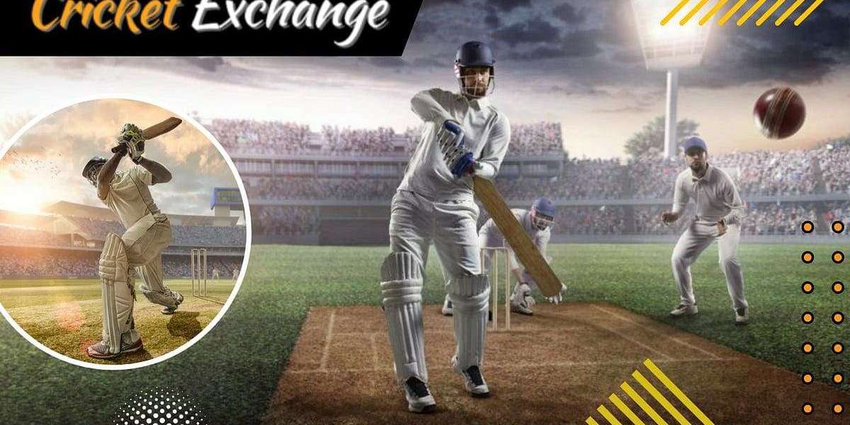 Cricket Exchange Demystified: Everything You Need to Know