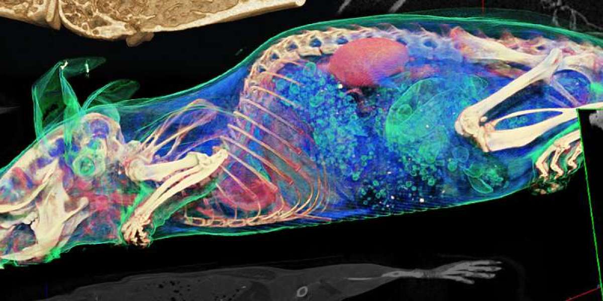 Preclinical Imaging Market Report: Product Scope, Overview, Opportunities, Driving Forces and Risk Analysis