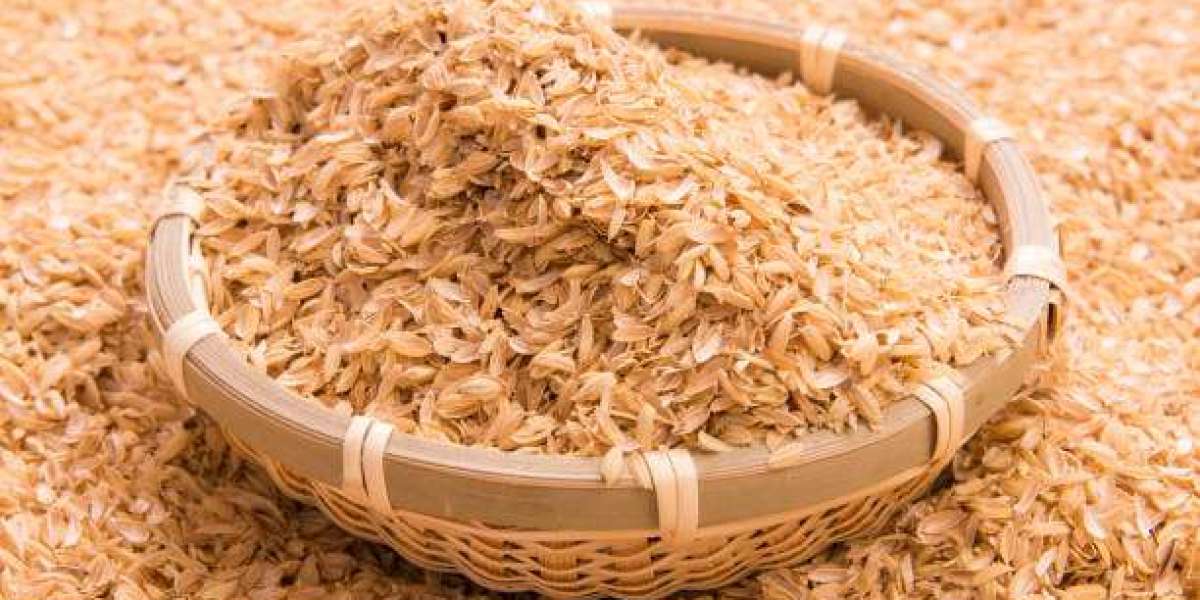 Rice Husk Manufacturing Plant Project Report 2024: Comprehensive Business Plan, Cost Analysis, and Manufacturing Process