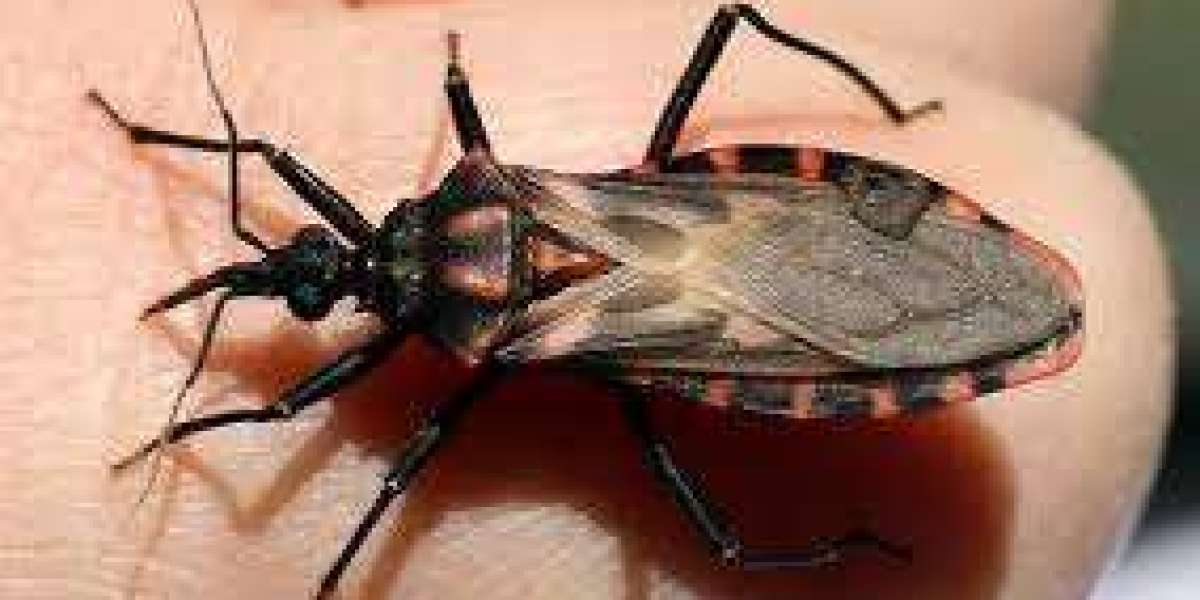 Chagas Disease Market Size, 2024 Analysis, Industry Trends and Forecasts to 2034