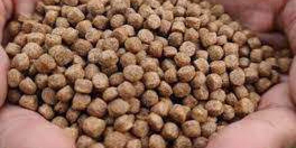 Aquafeed Market Size, Share, and Growth Industry Research Forecast (2030)