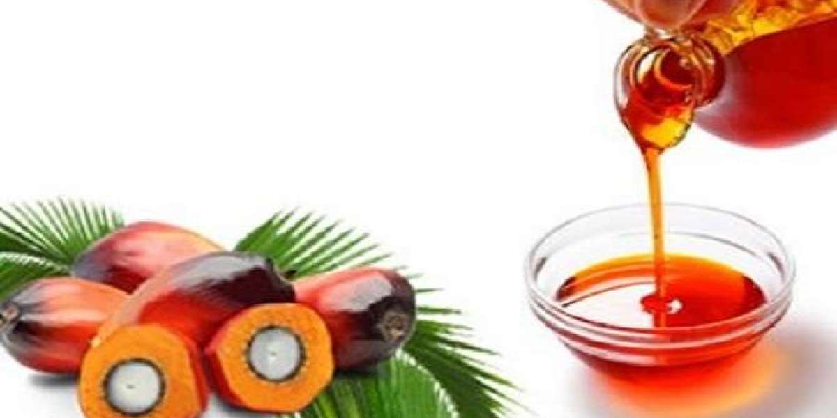 Palm Oil Prices, News, Trend, Monitor, Supply & Demand, Forecast | ChemAnalyst