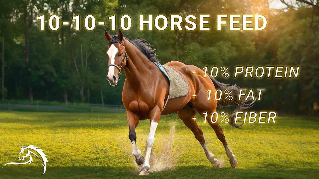 10 10 10 Horse Feed - Bella's Diet