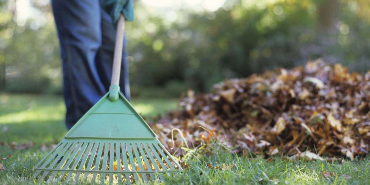 What does Commercial Spring Cleaning Mean Landscaping?
