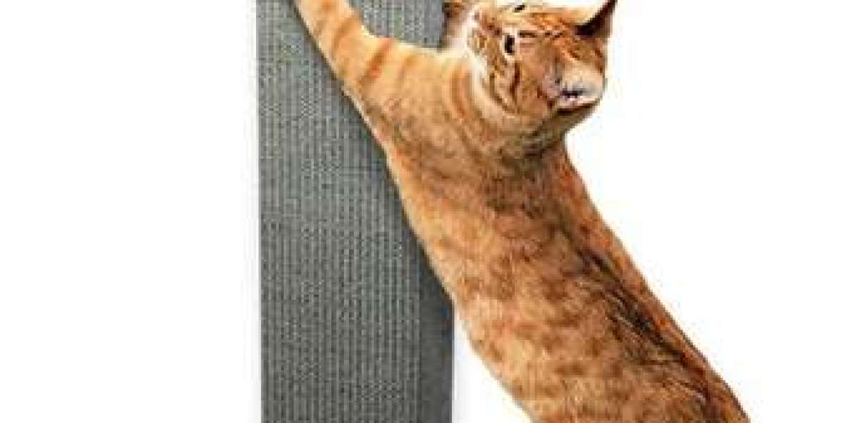 Exploring the Benefits of Shopping for Cat Scratching Posts Online