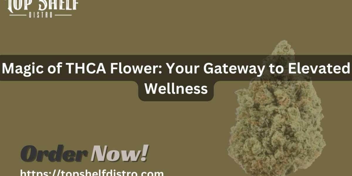 Best THCa Flower: Your Ultimate Guide to Shopping at Topshelfdistro