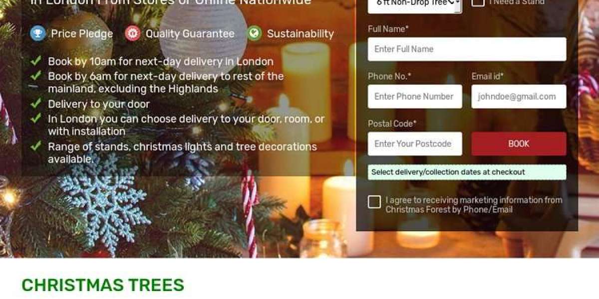 rent Christmas Trees in London