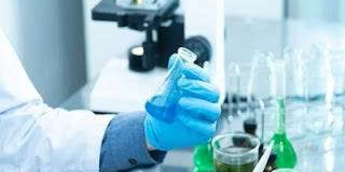 Sodium Lauryl Ether Sulphate Market to Grow at a CAGR of 5.00% by 2032 | Industry Trends, Revenue, and Outlook By ChemAn