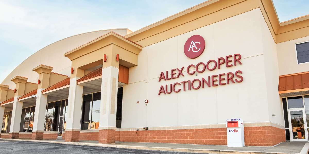 Unearthing Treasures: A Buyer's Guide to Alex Cooper Auctioneers