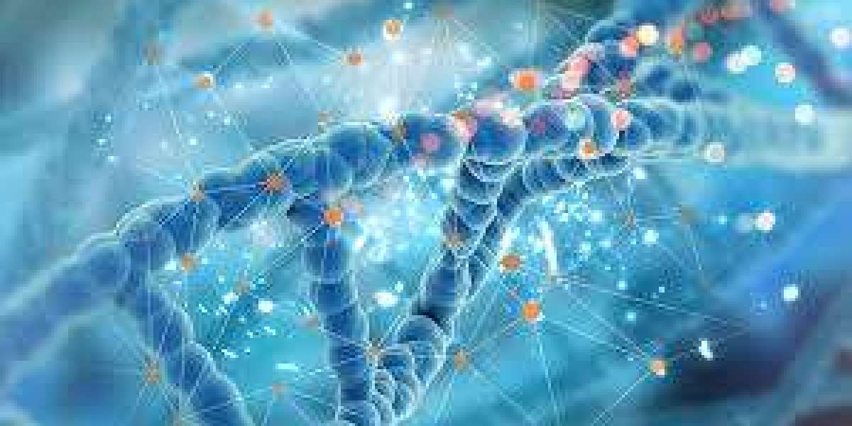Biomarkers Market Share, Size, Growth, Report 2024-2032