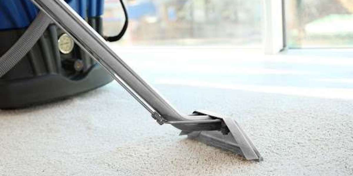Safe and Effective Carpet Cleaning for Your Family in NYC