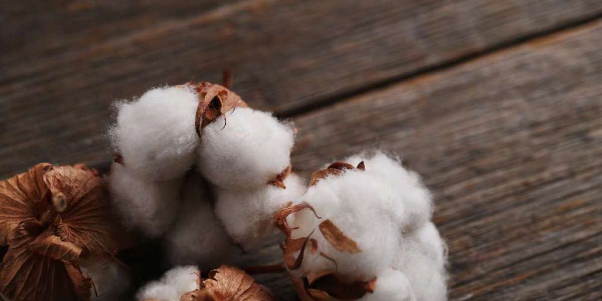 Cotton Rate and Price Analysis: A Deep Dive into the Commodities Market