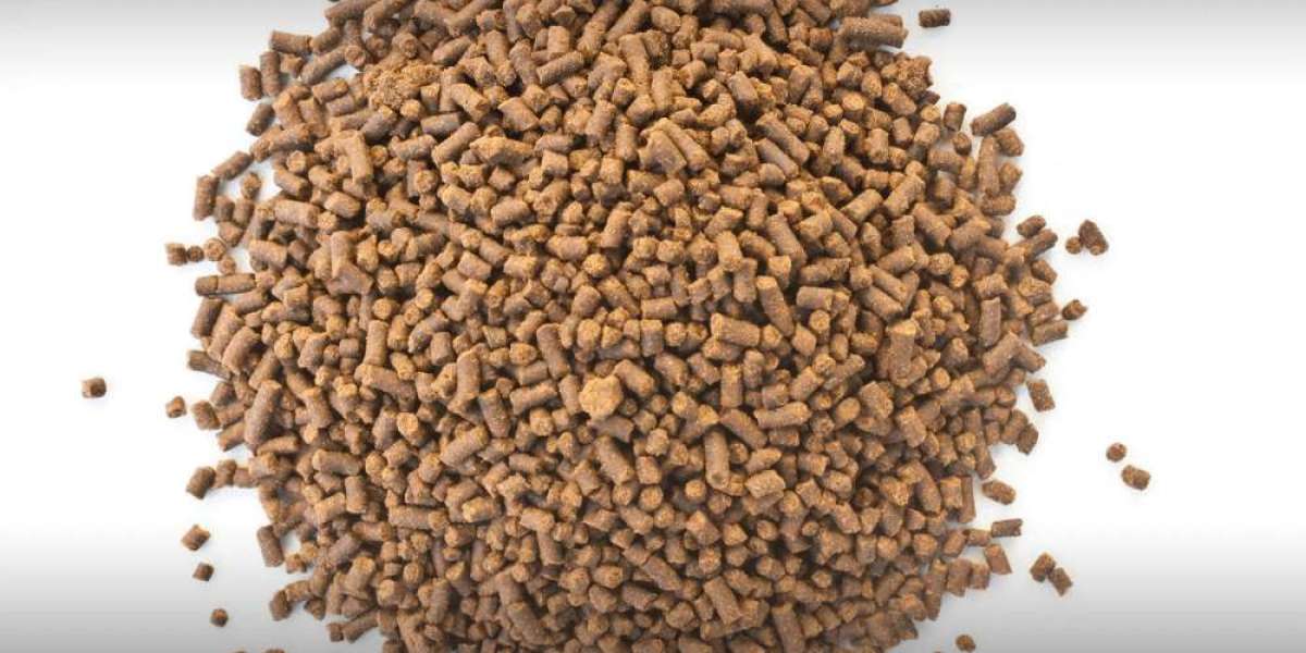 Shrimp Feed Market Research Report: Projections for Size, Growth, Revenue 2030
