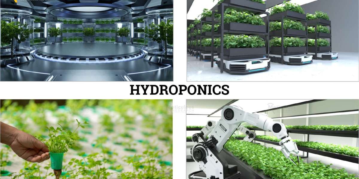 Hydroponics Market Set to Surge, Projected to Reach $35.4 Billion by 2030