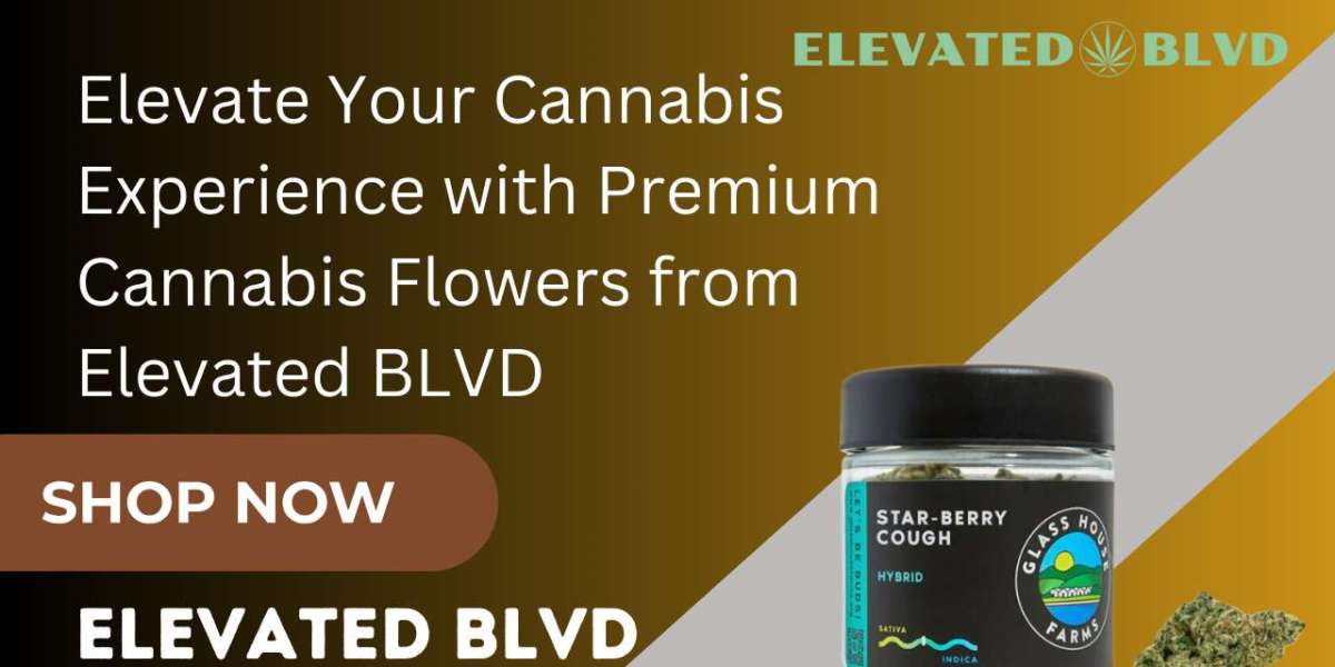 Elevate Your Cannabis Experience with Premium Cannabis Flowers from Elevated BLVD