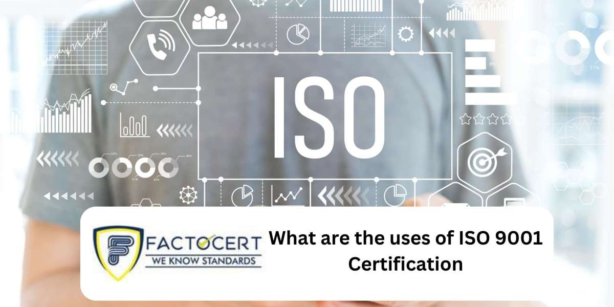 Obtaining ISO 9001 certification in  Netherlands