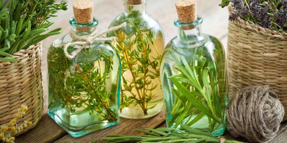Herb Oil Market Size, Industry Research Report 2023-2032