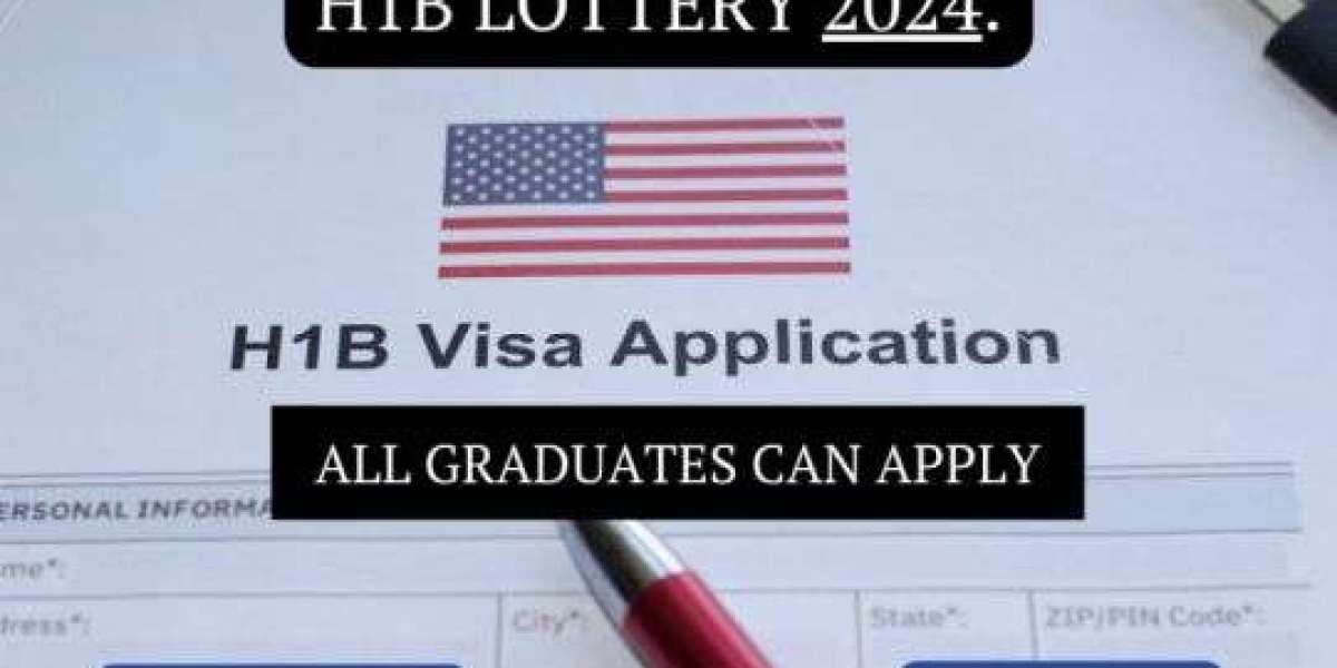 H1B Lottery 2024: For Aspiring Professionals US Work Visa