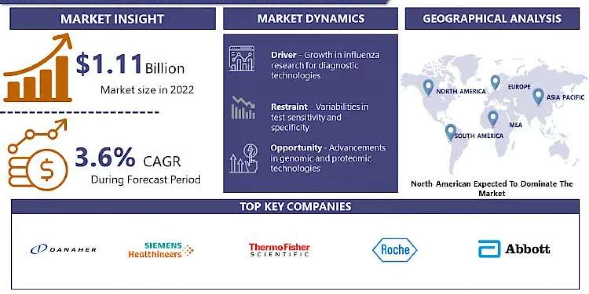 Influenza Diagnostics Market Unlock the Future: 2030 Market Report and Forecast