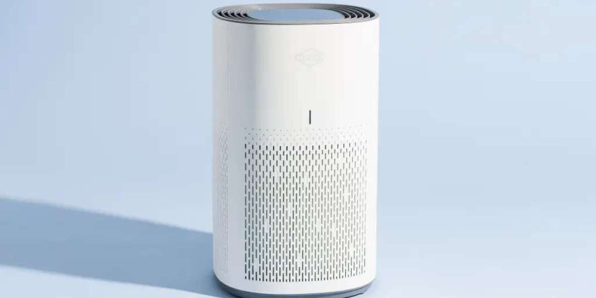 Air Purifier Market to See Sustainable Growth Ahead