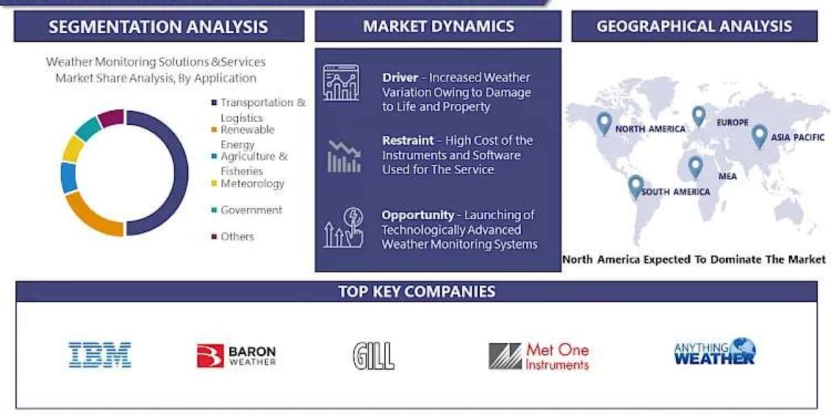 Weather Monitoring Solutions And Services Market Size, Share, Growth Analysis Report 2030 | Introspective Market Researc
