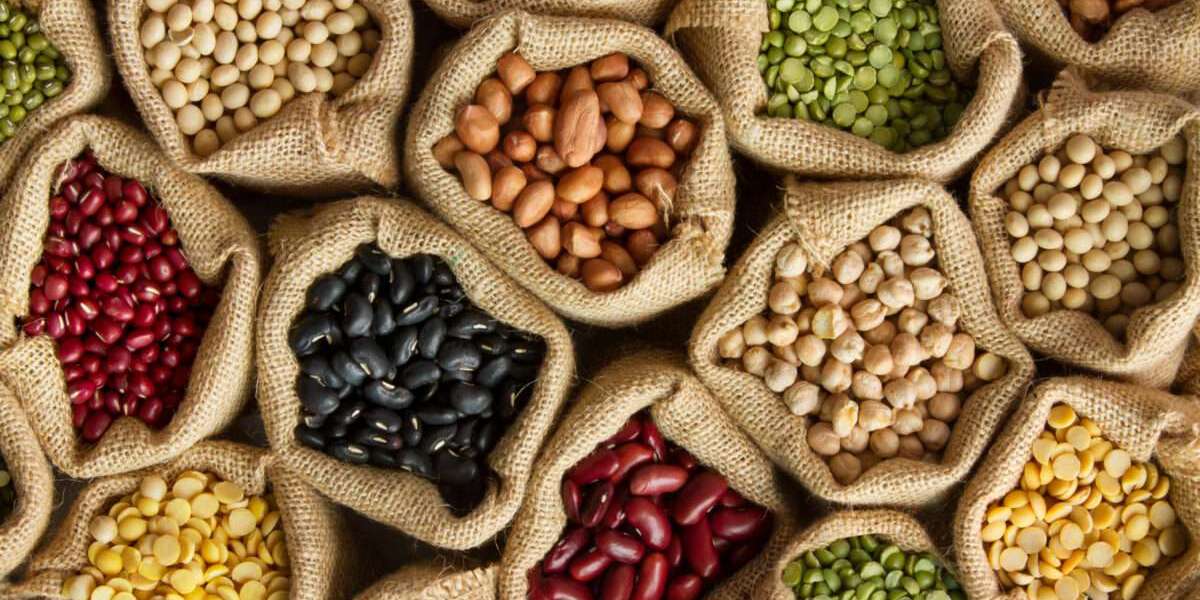 Solanaceae Vegetable Seeds Market Segment and Industry Growth by Forecast to 2030
