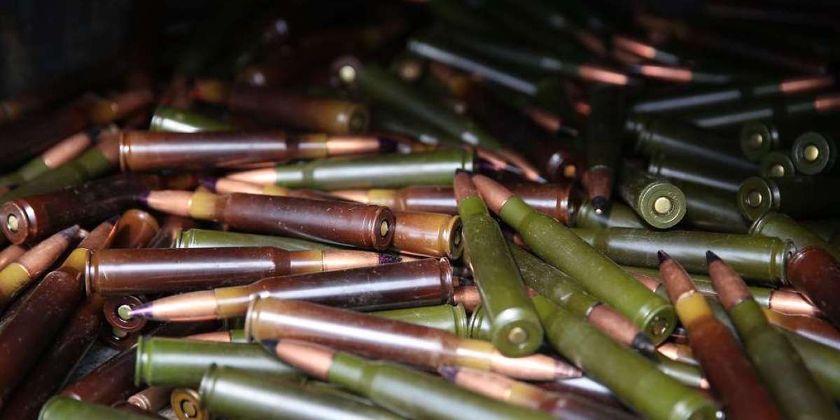 Arms and Ammunition Market Size Share & Trends Analysis Report