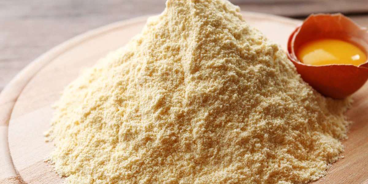 GCC Egg Powder Market Size, Share, Growth, Industry Report 2023-2028