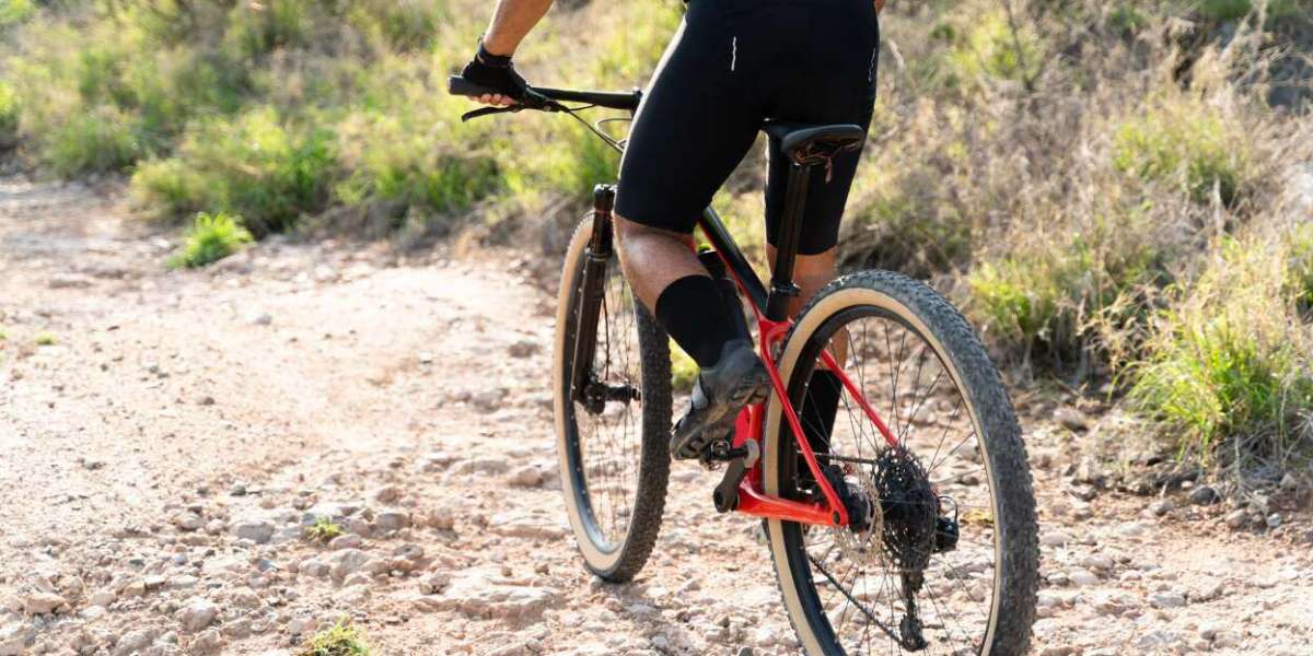 Riding the Wave: A Comprehensive Analysis of the Cycling Shorts Market 2024-2032