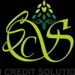 Sai Credit Solutions