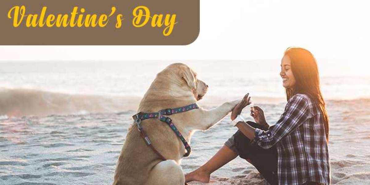 Date Your Pet This Valentine’s Day