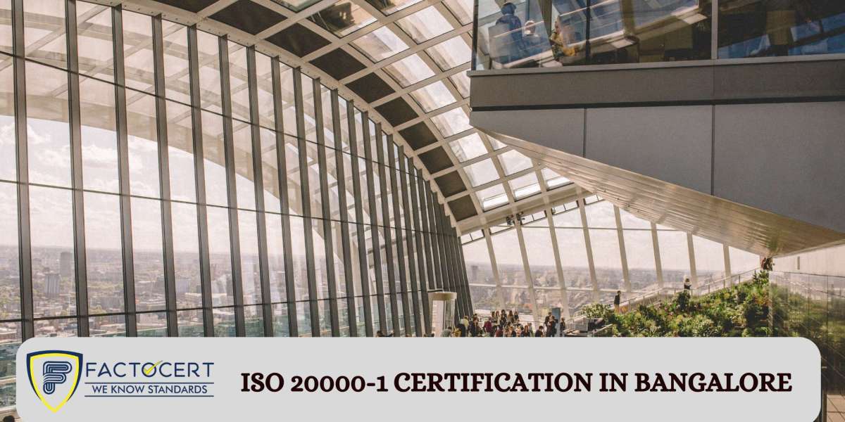 Can you explain the process involved in achieving ISO 20000-1 certification?