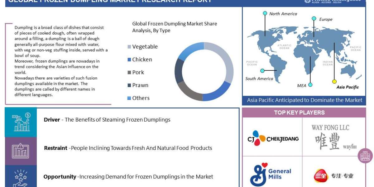 Frozen Dumplings Market Overview by Region, Analysis and Outlook (2023-2030)