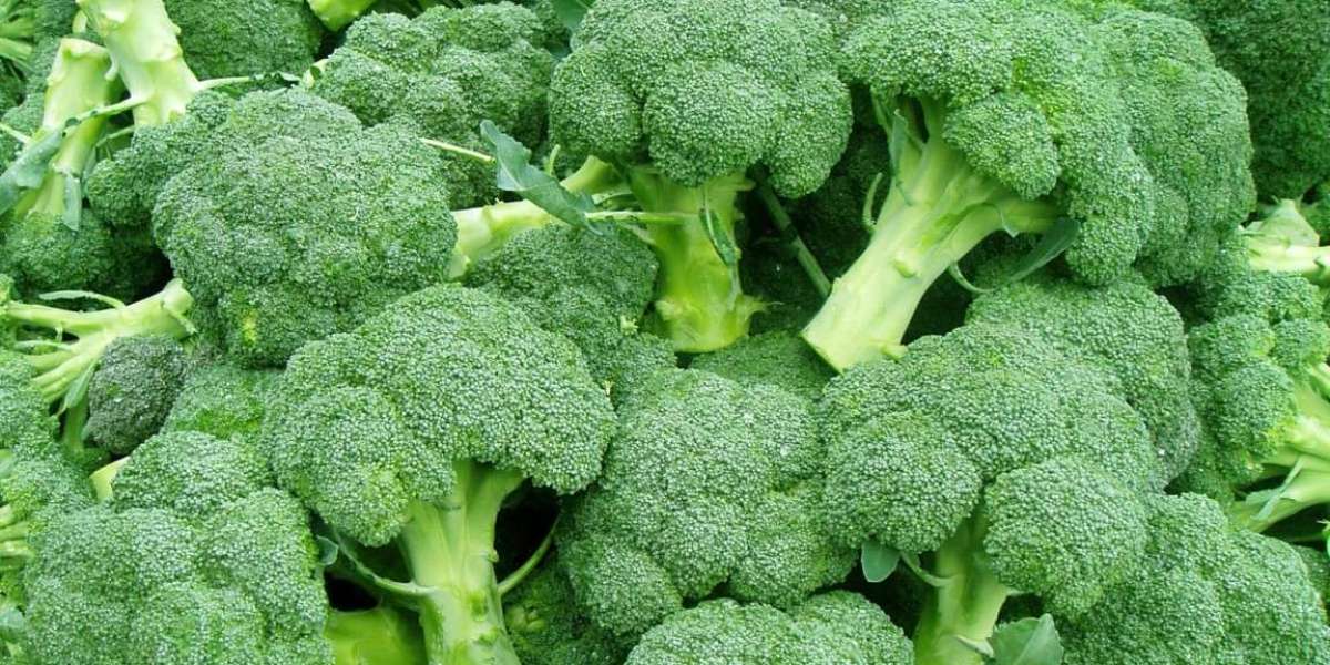 Broccoli Extract Market 2023 Report: Covering Business Challenges, Overview, and Forecast Research Study until 2032