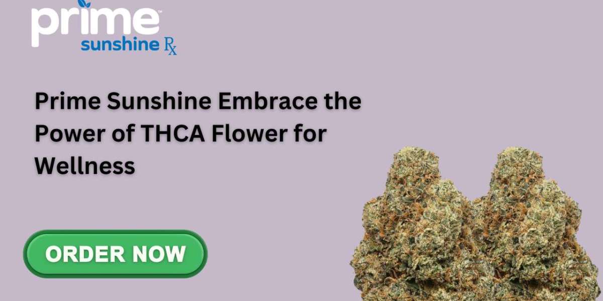 Prime Sunshine Embrace the Power of THCA Flower for Wellness