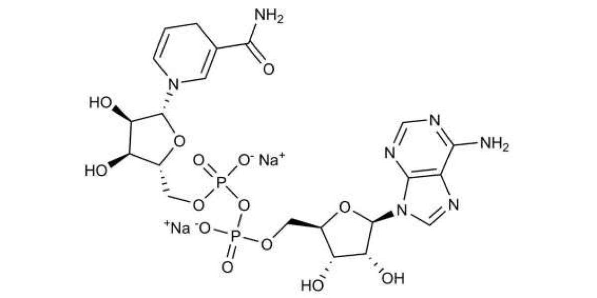 Nicotinamide Adenine Dinucleotide Market Trends Global Industry Analysis, Growth, Opportunities & Forecast to 2032