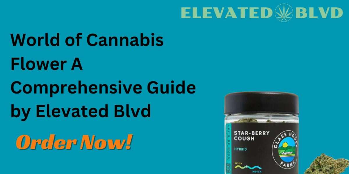 World of Cannabis Flower A Comprehensive Guide by Elevated Blvd