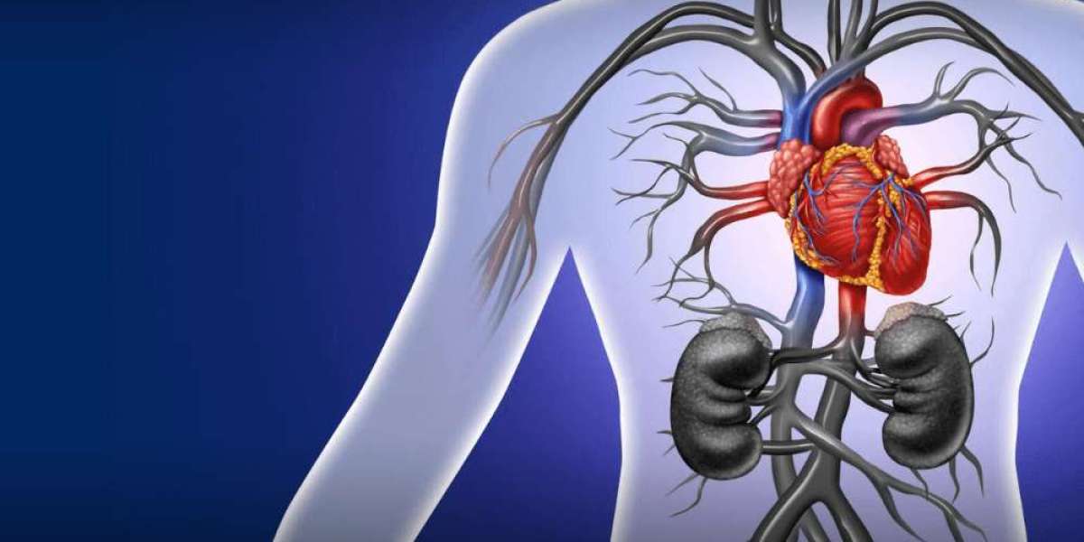Congenital Heart Disease (CHD) Market Research Report: Share and Growth Trends Unraveled