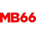 MB66 Mb66network