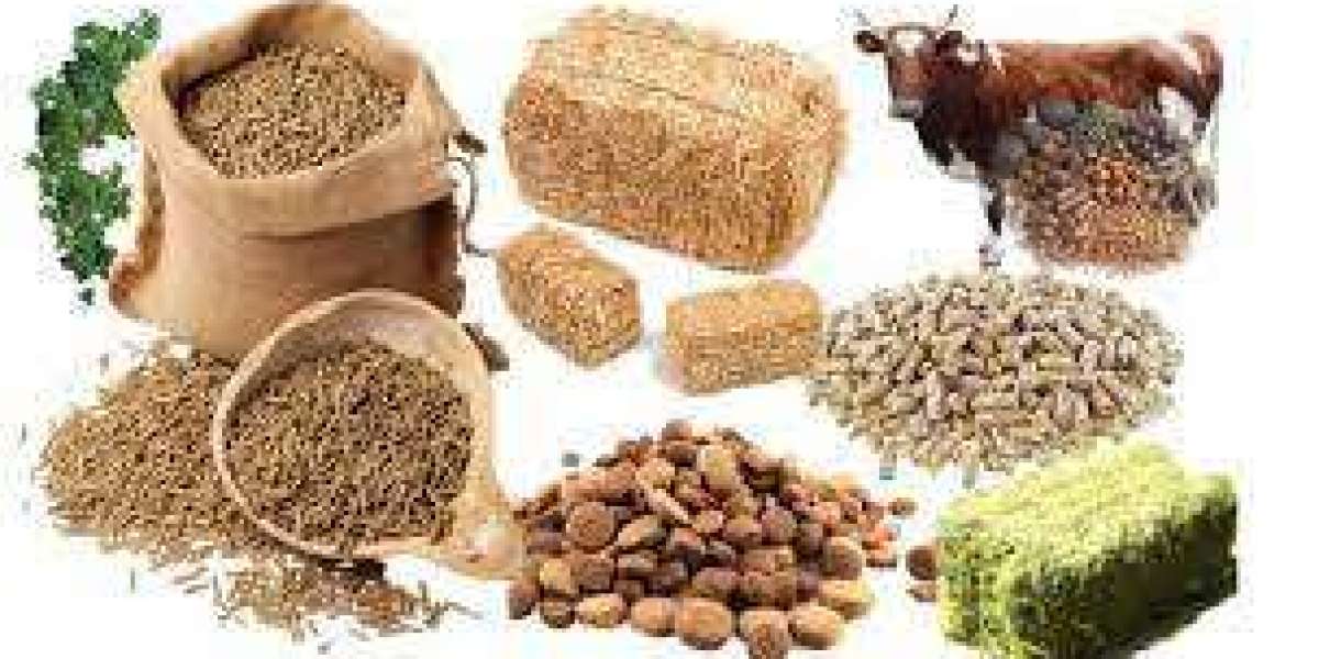 Feed Preservatives Market Share Outlook and Size Trends Analysis by 2030
