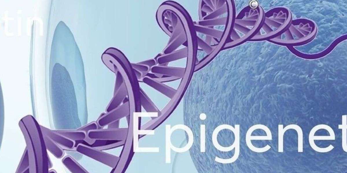 Navigating Growth: Epigenetics Market Forecasted to Hit US$ 2.79 Billion by 2032