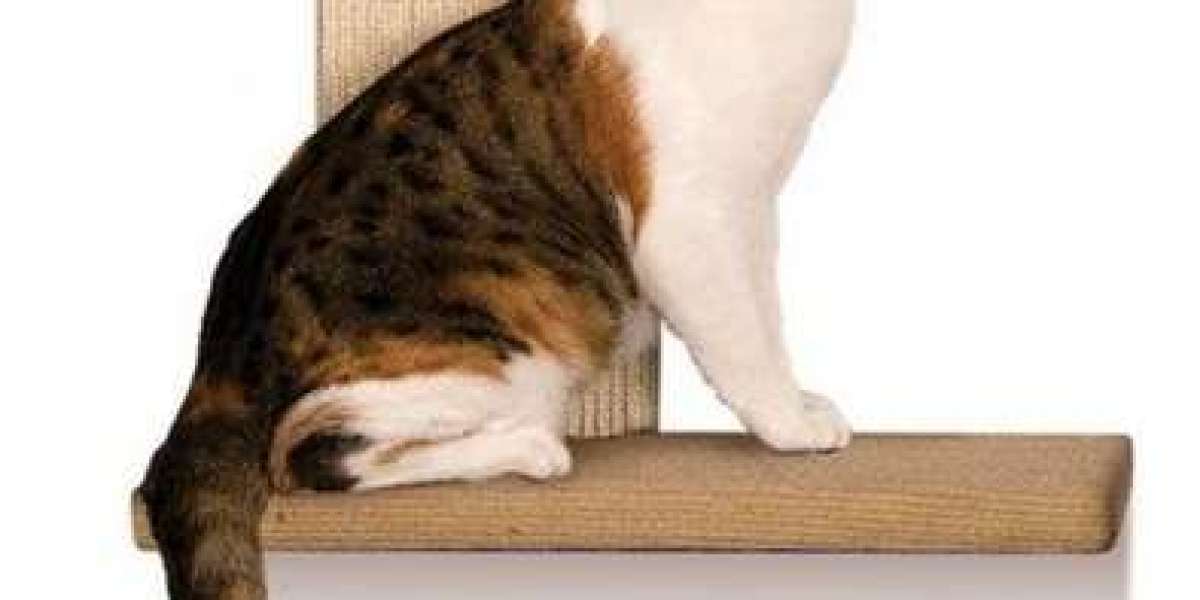 Long-lasting Solutions: Heavy Duty Cat Scratching Posts Built to Endure