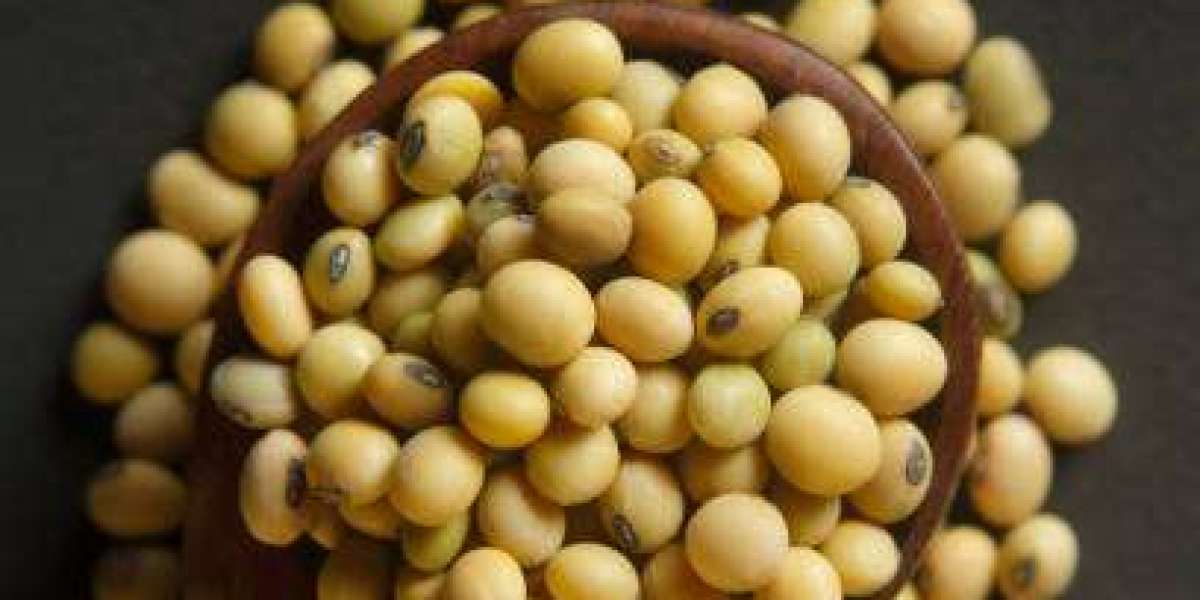 Organic Soybean Market Share with Emerging Growth of Top Companies | Forecast 2030