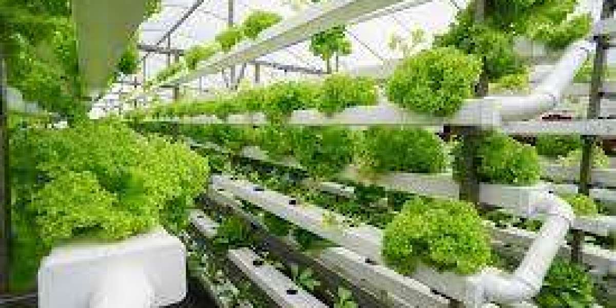 Aquaponics Market Analysis Size, Share, Sales, and Growth Opportunities (2024-2030)