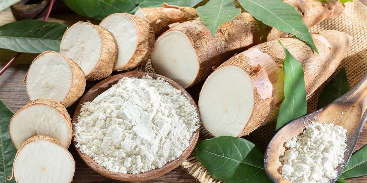 Native Starch Market Share, Size, Key Players, In-Depth Insights, Analysis and Forecast 2024-2032
