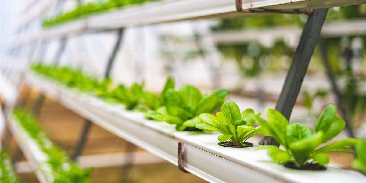 Aquaponics Market to Grow with a CAGR of 8.60% through 2028