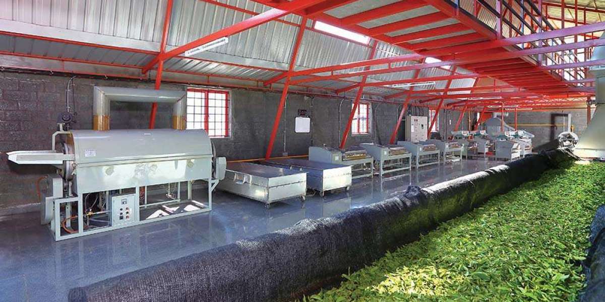 Tea Processing Plant Project Report 2024: Business Plan and Raw Material Requirements | IMARC Group