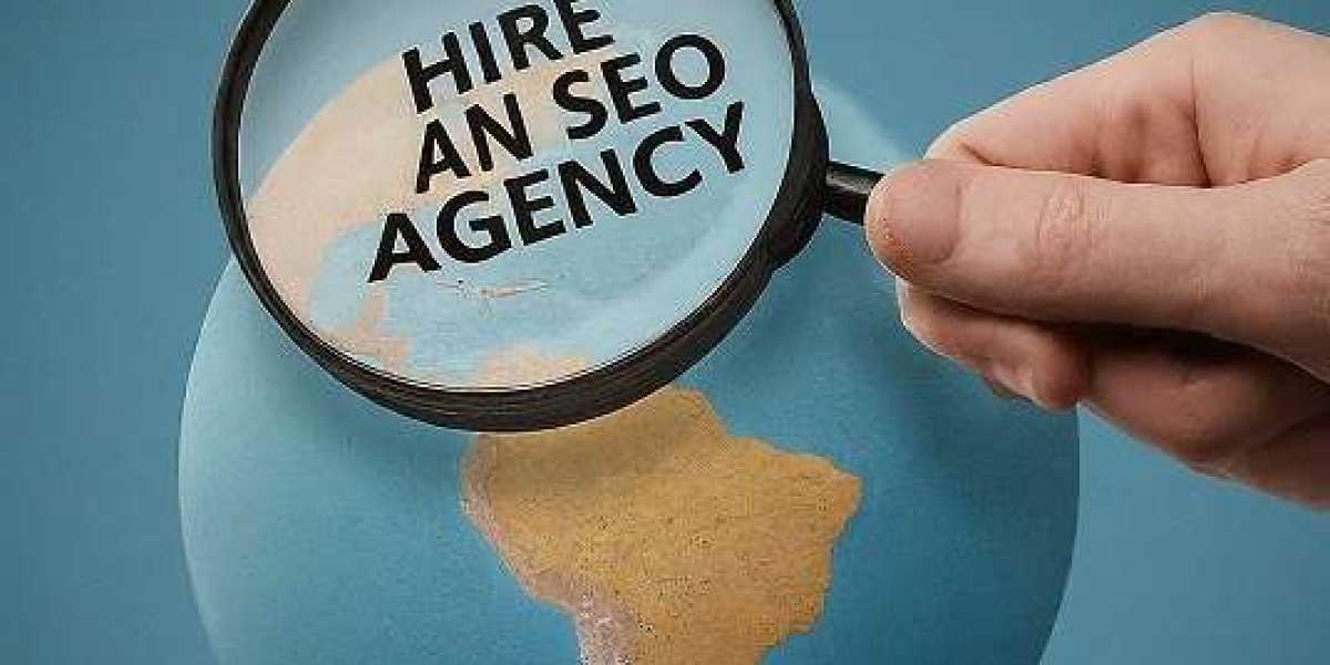 Do I Need to Hire an SEO Agency for My eCommerce Website, or Can I Do It Myself?